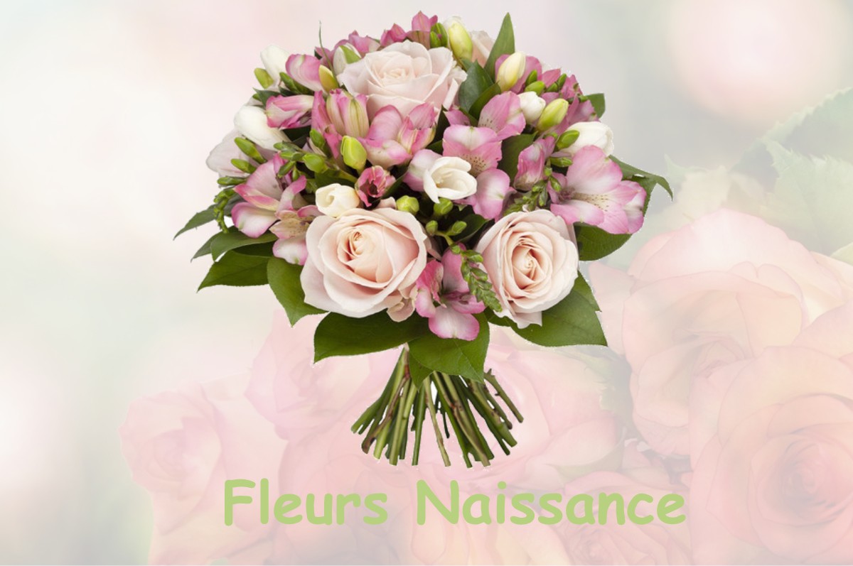 fleurs naissance LA-VILLE-AUX-CLERCS
